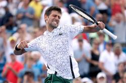 -法国网球队鏖战德国网球队，德约科维奇惊艳世界的简单介绍