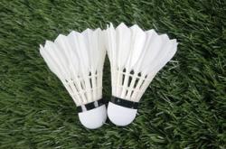 开云体育平台APP-中国羽毛球队绝地反击马来西亚羽毛球队，林丹爆发神勇