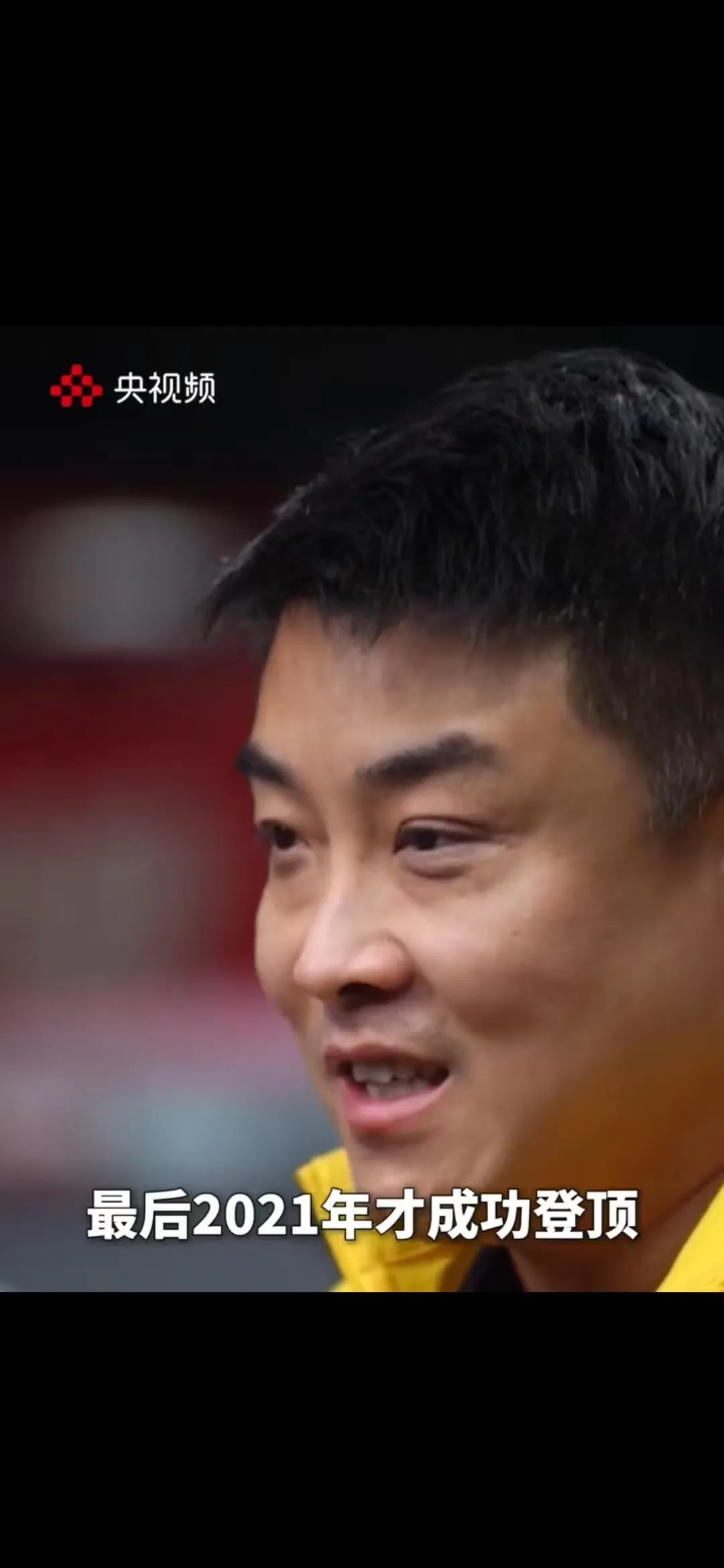 包含日本乒乓球队血洗波兰乒乓球队，王皓高光表现的词条